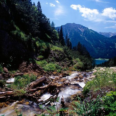 Chalet & Apartments Tiroler Bua Achenkirch Bilik gambar